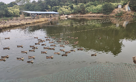 食堂承包